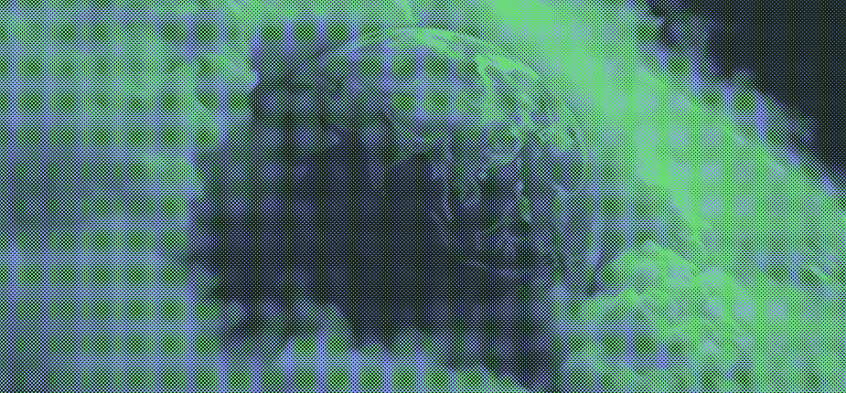 LNT-Dualtone – 16_9 (2)